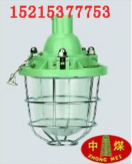供应CBD系列隔爆型防爆灯